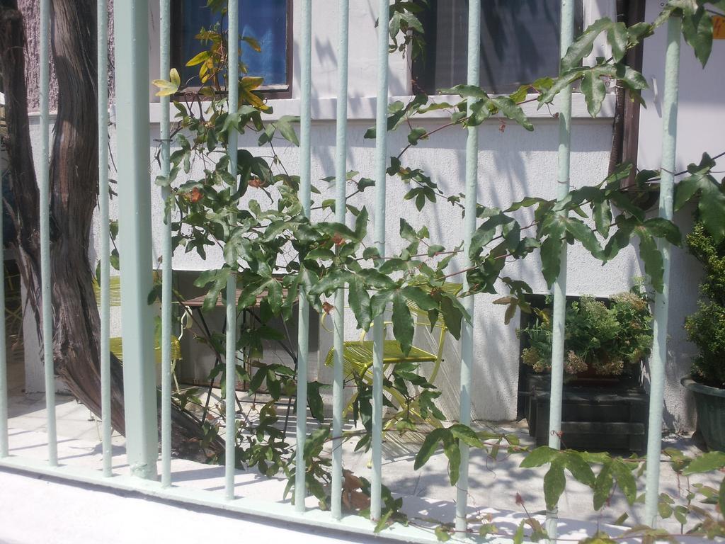 Old House Burgas Exterior photo